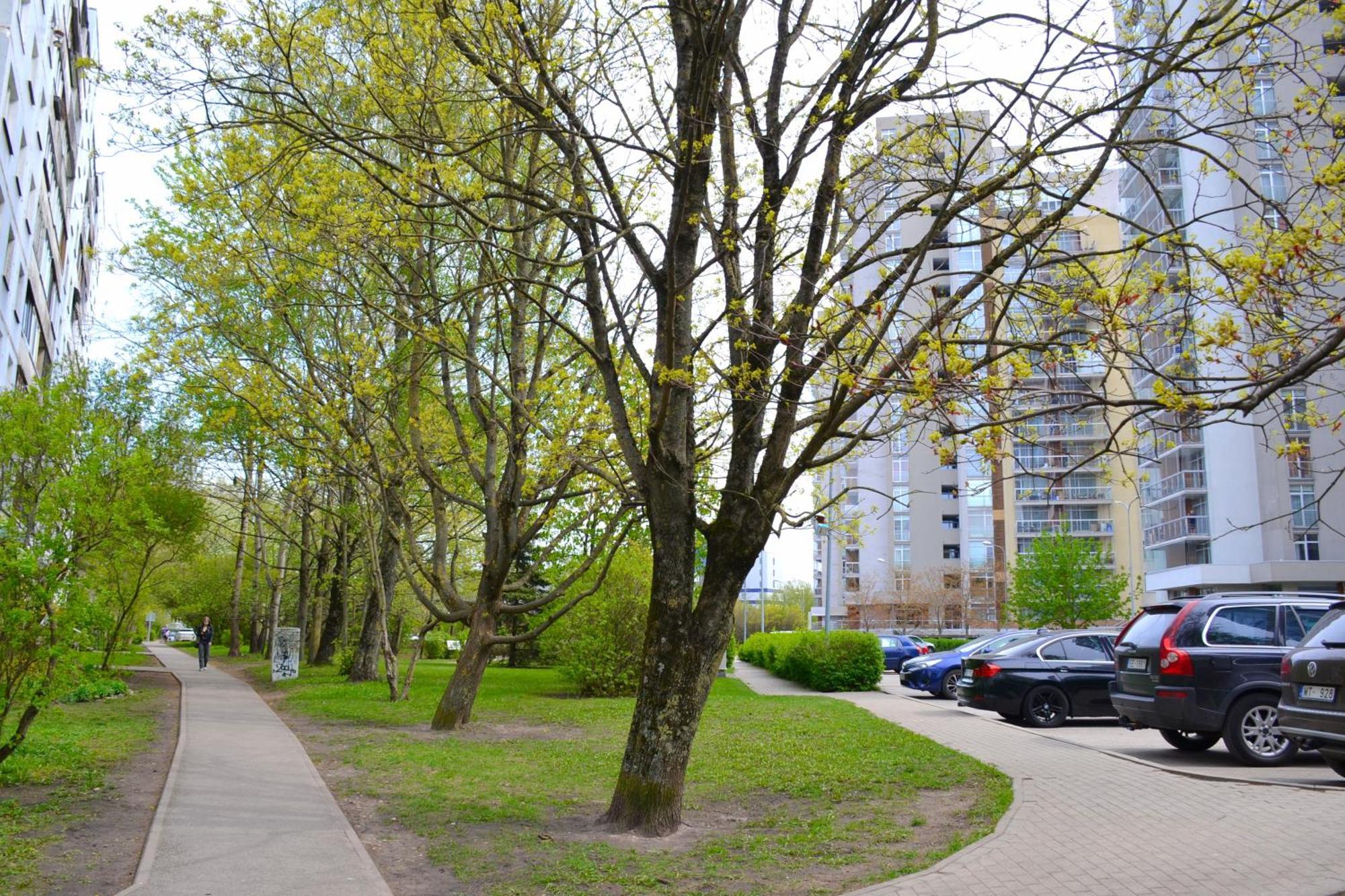 Imanta Apartment Riga 2Х Rooms 52М2 Exterior foto